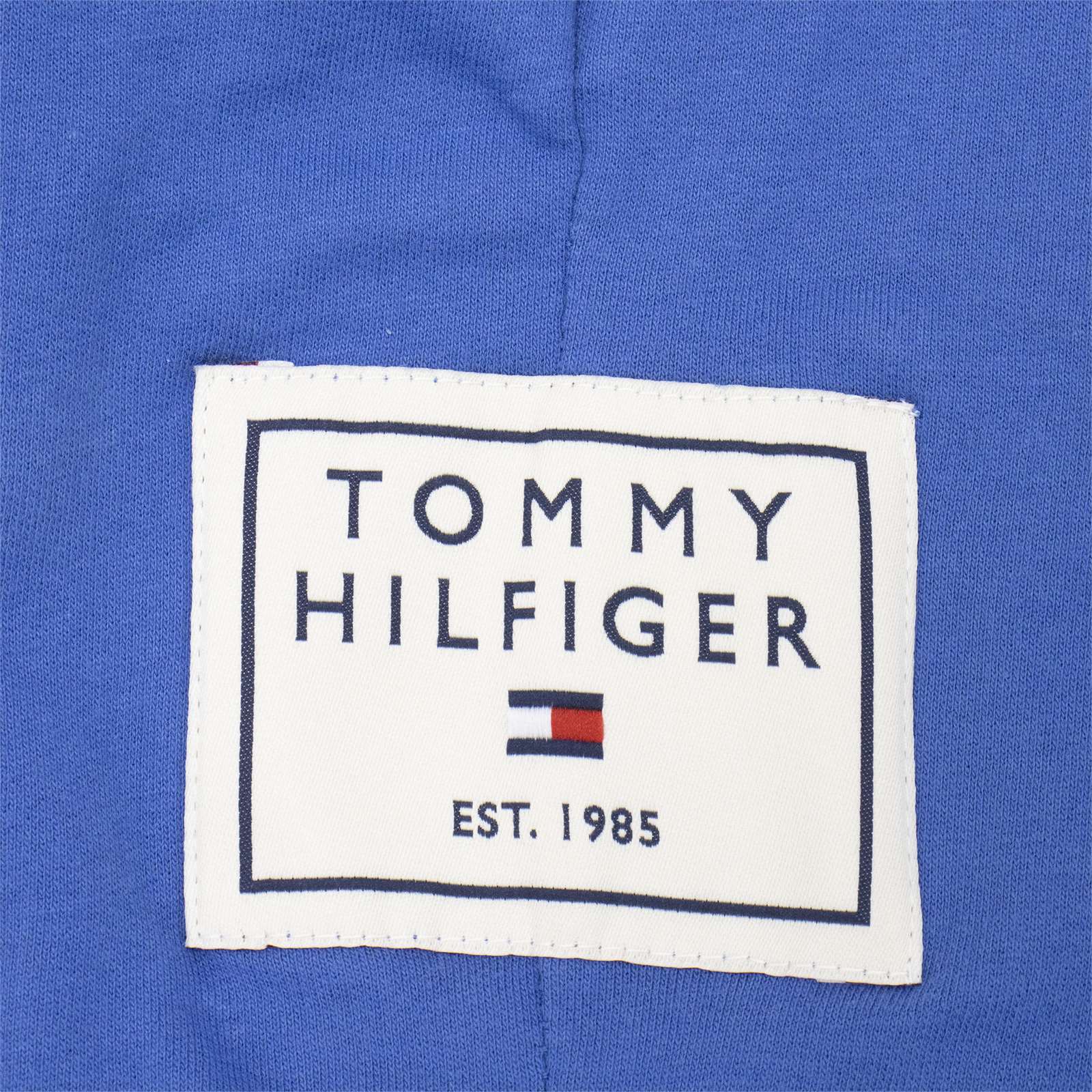 Tommy Hilfiger Men Lounge Jogger Pants