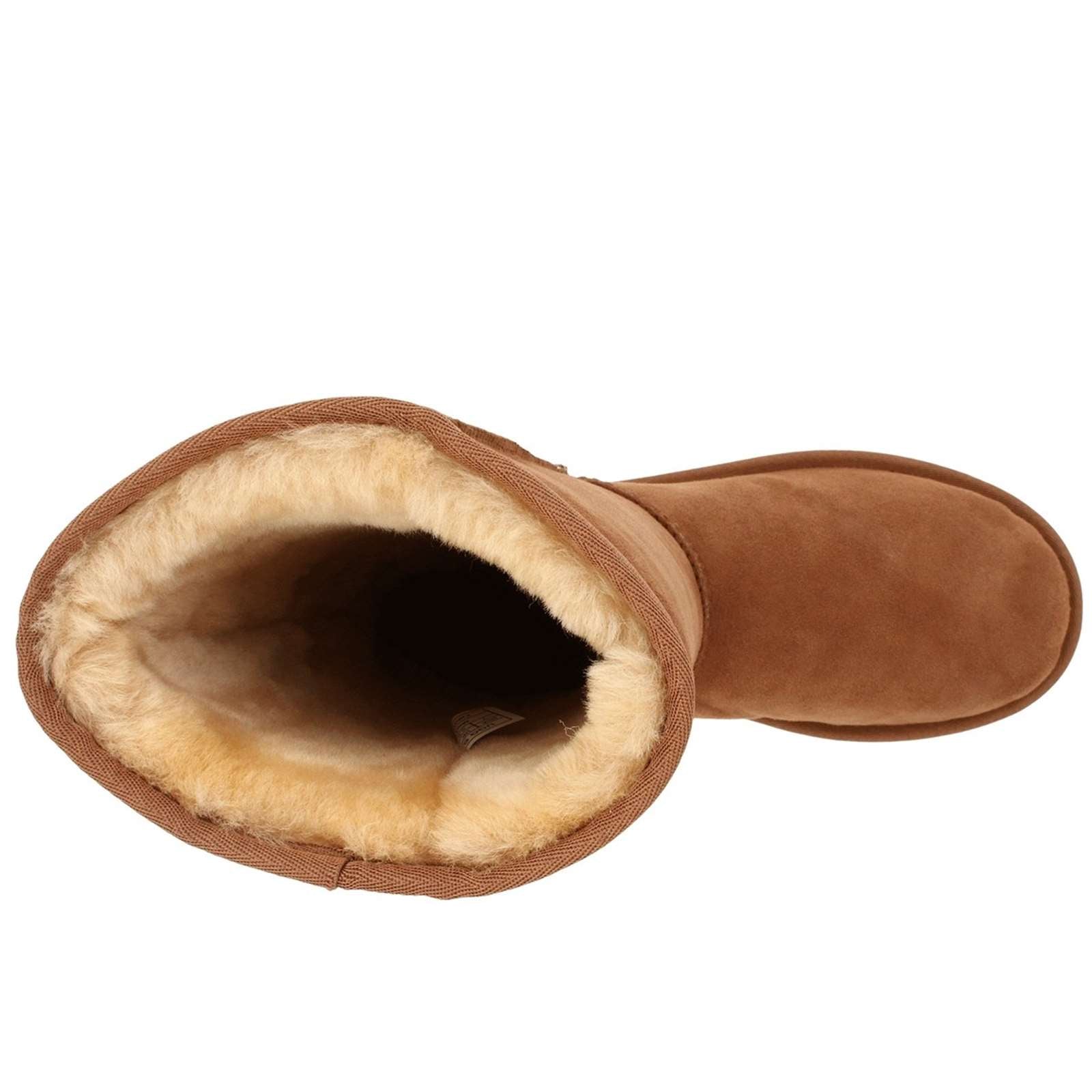 Ugg Women W Classic Tall Boots