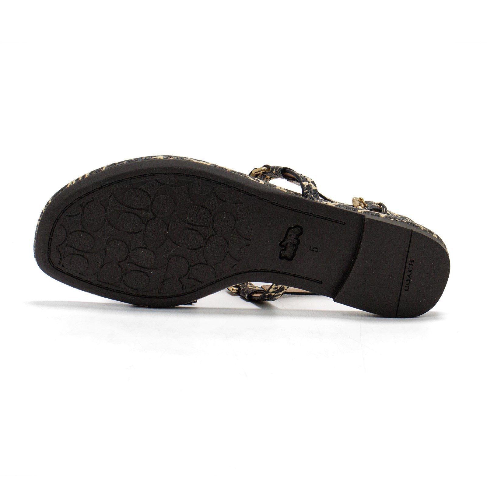 Coach Women Jeri Printed Flip-Flop Sandal
