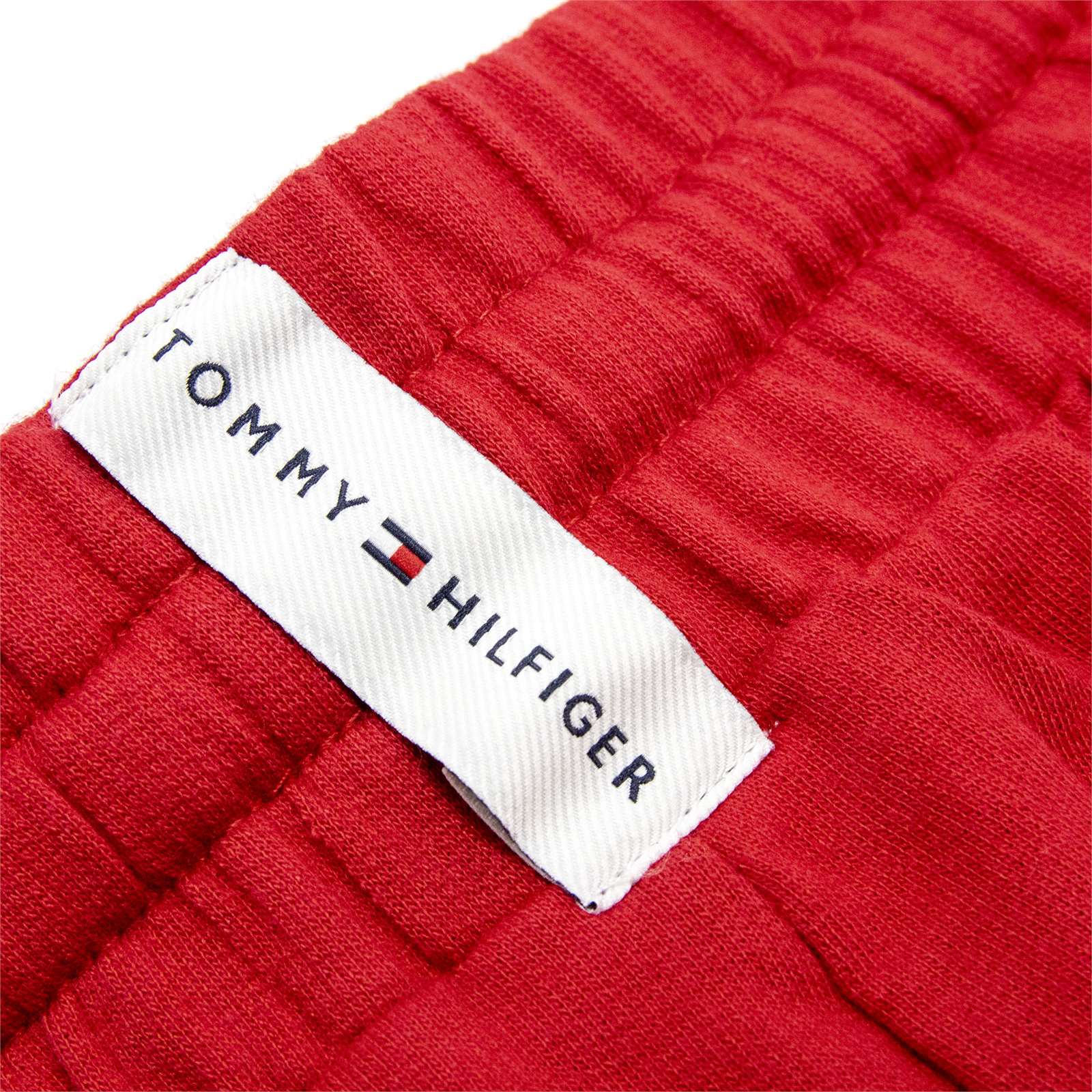 Tommy Hilfiger Men Modern Essentials Shorts