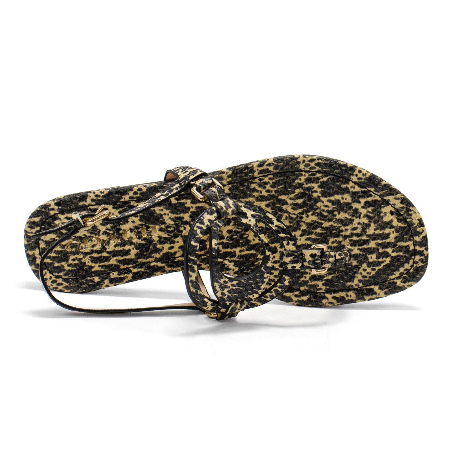 Coach Women Jeri Printed Flip-Flop Sandal