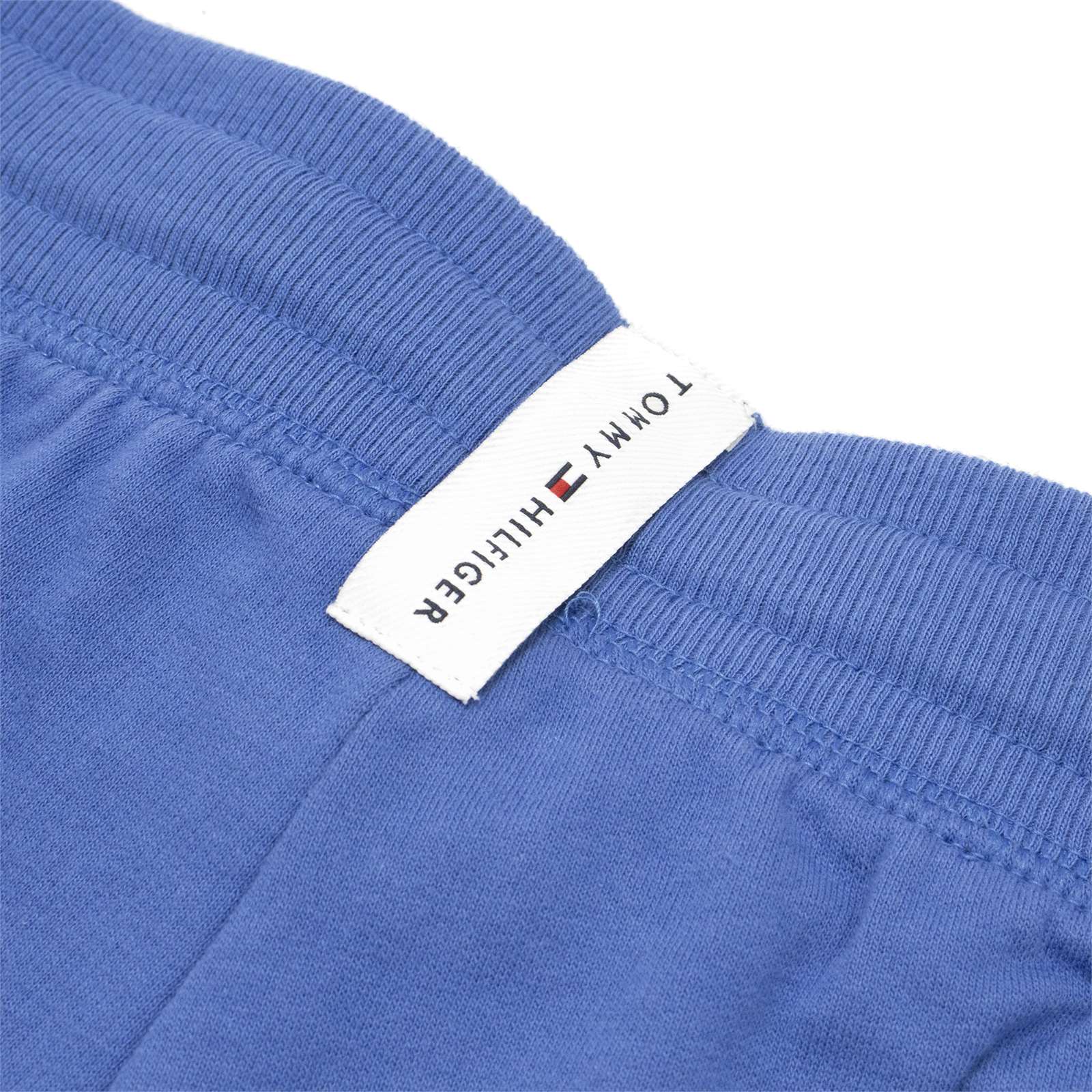 Tommy Hilfiger Men Lounge Jogger Pants