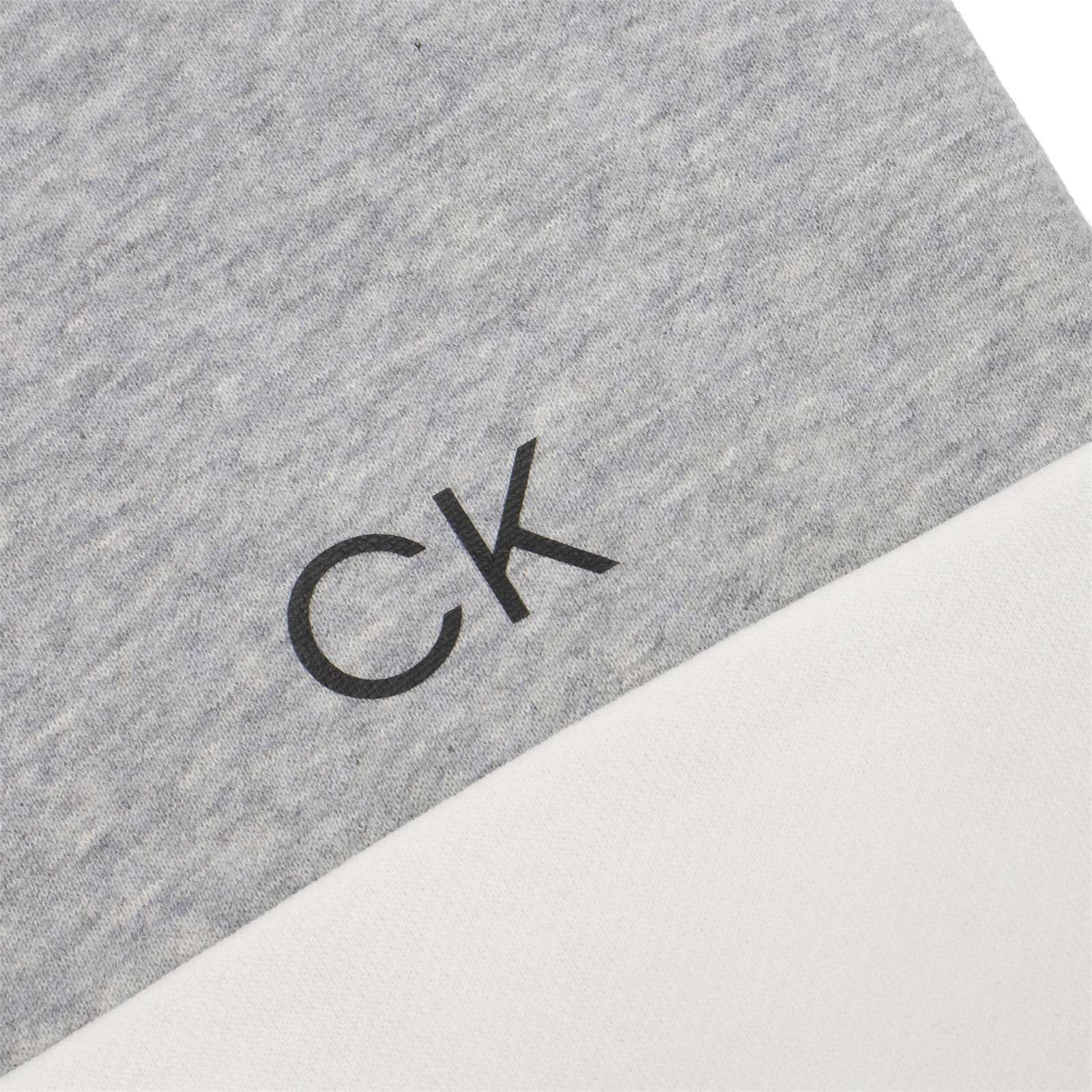 Calvin Klein Men Long Sleeve Colorblock Pullover Hoodie