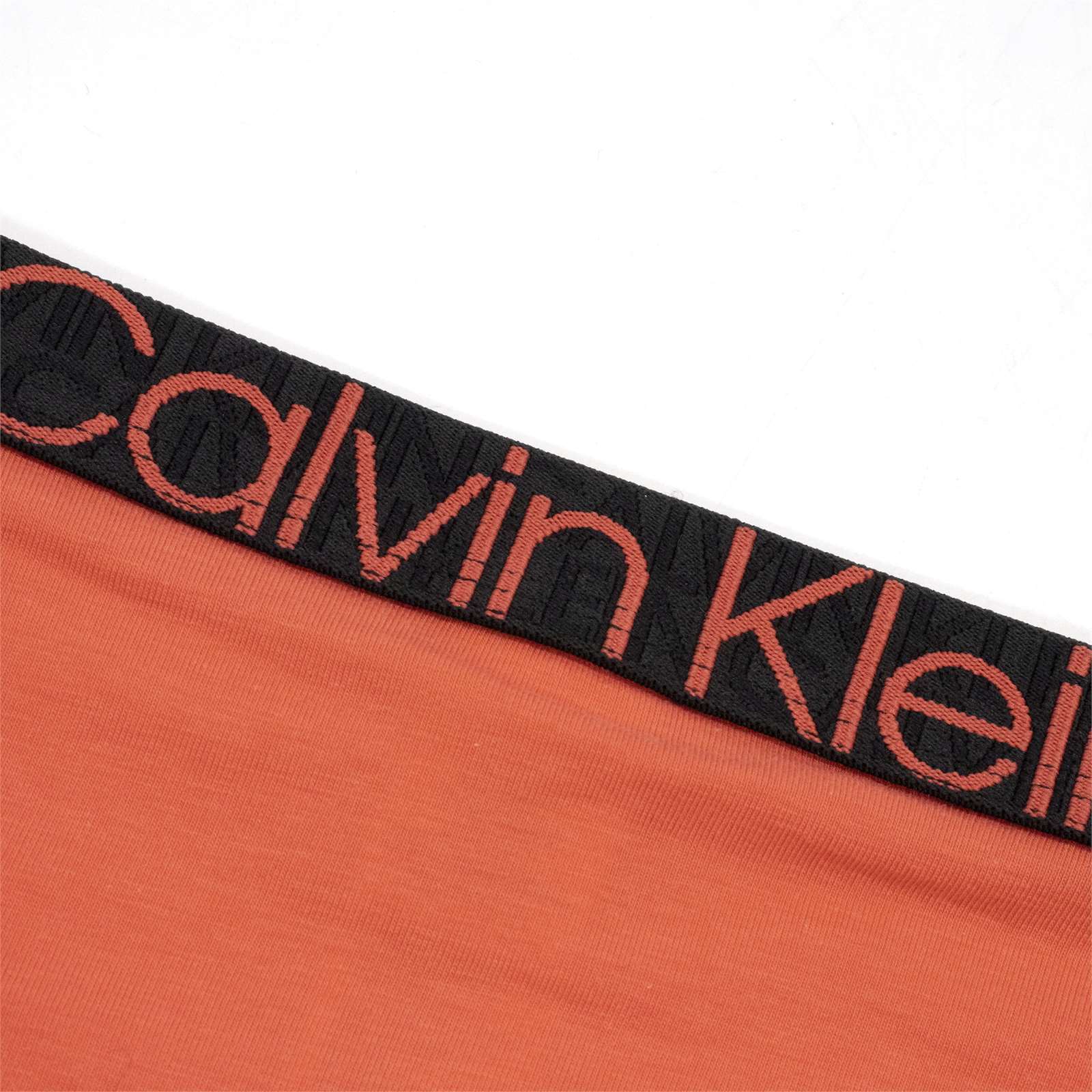 Calvin Klein Women Reconsidered Comfort Bikini Panty