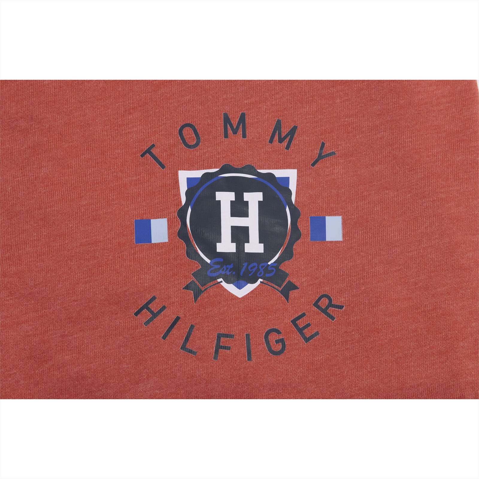 Tommy Hilfiger Men Long Sleeve Hoodie