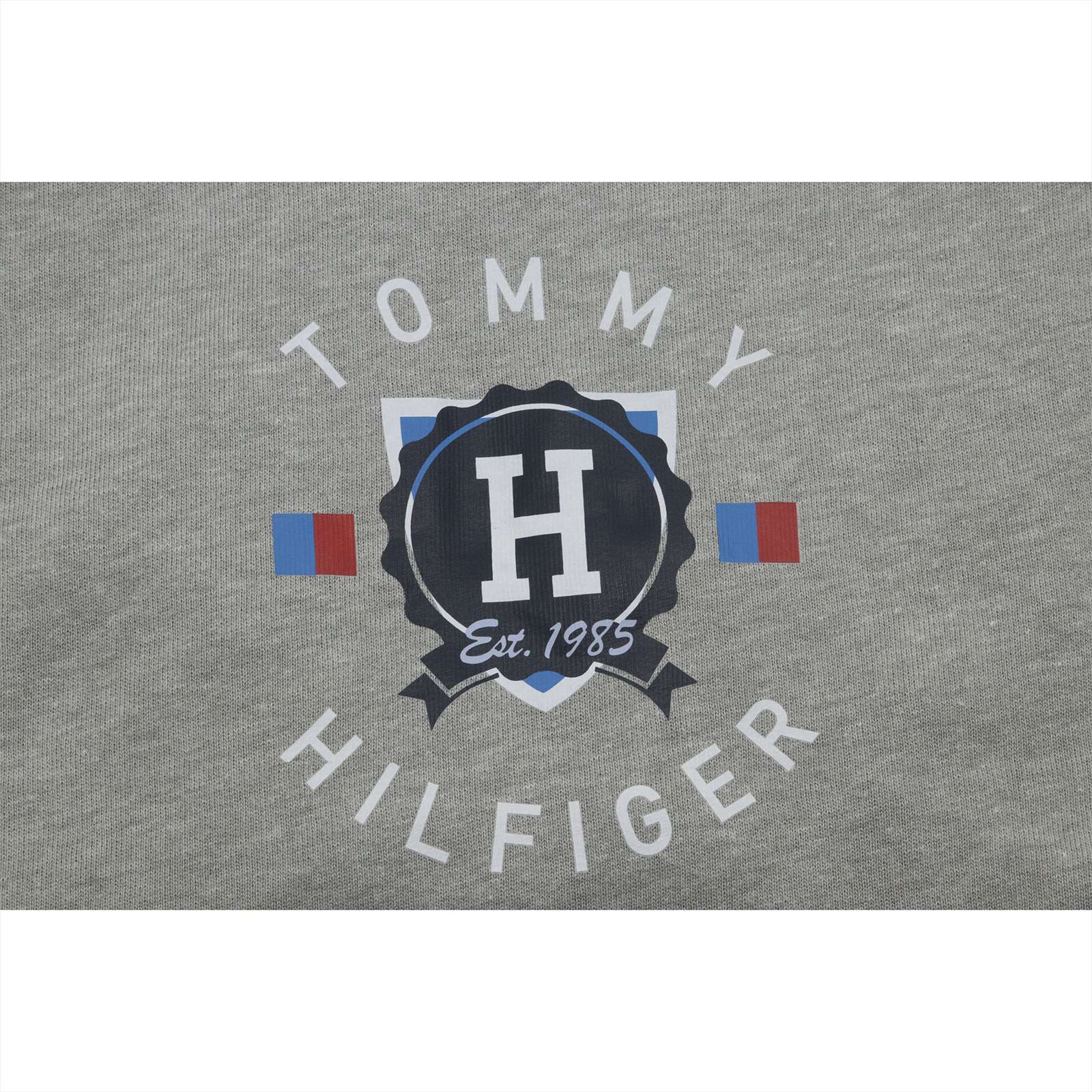 Tommy Hilfiger Men Long Sleeve Hoodie