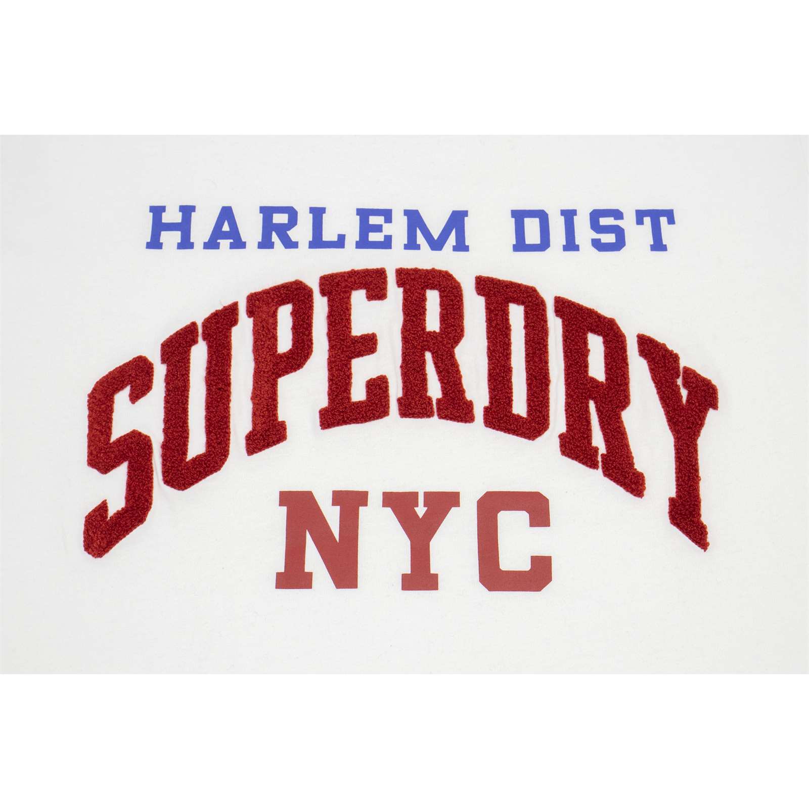 Super Dry Men Varsity Arch Tee