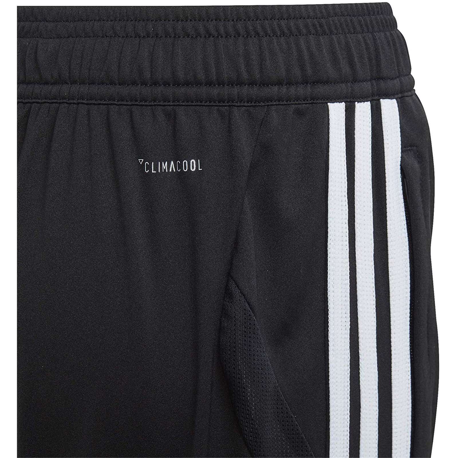 Adidas Boy Tiro 19 3/4 Pants