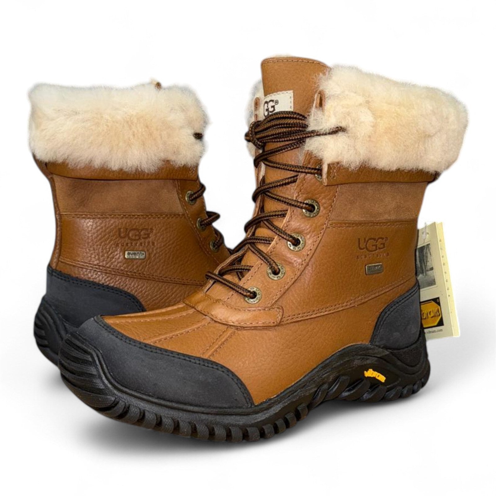 Ugg Women Adirondack Ii Winter Boot
