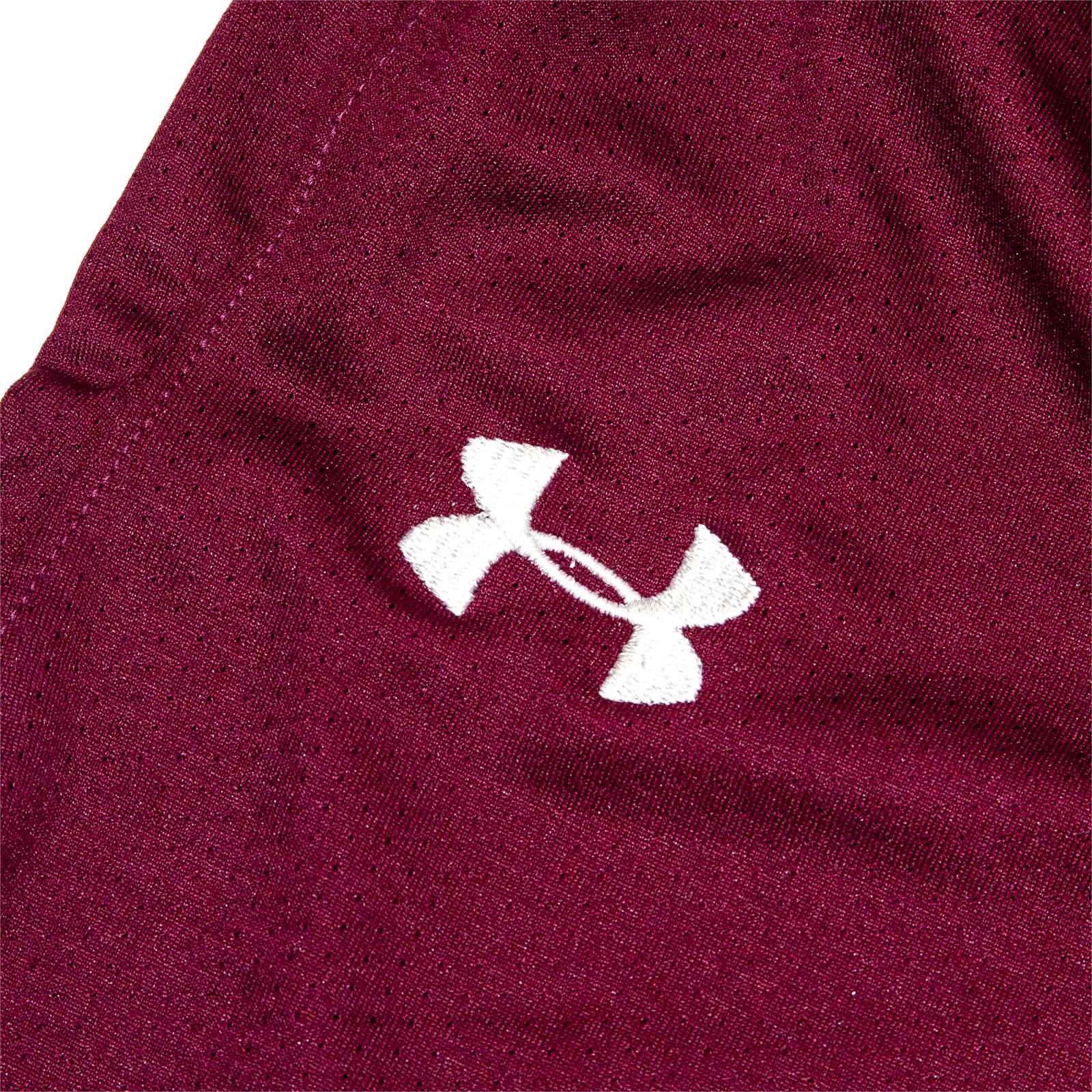 Under Armour Men Stock Toli Shorts